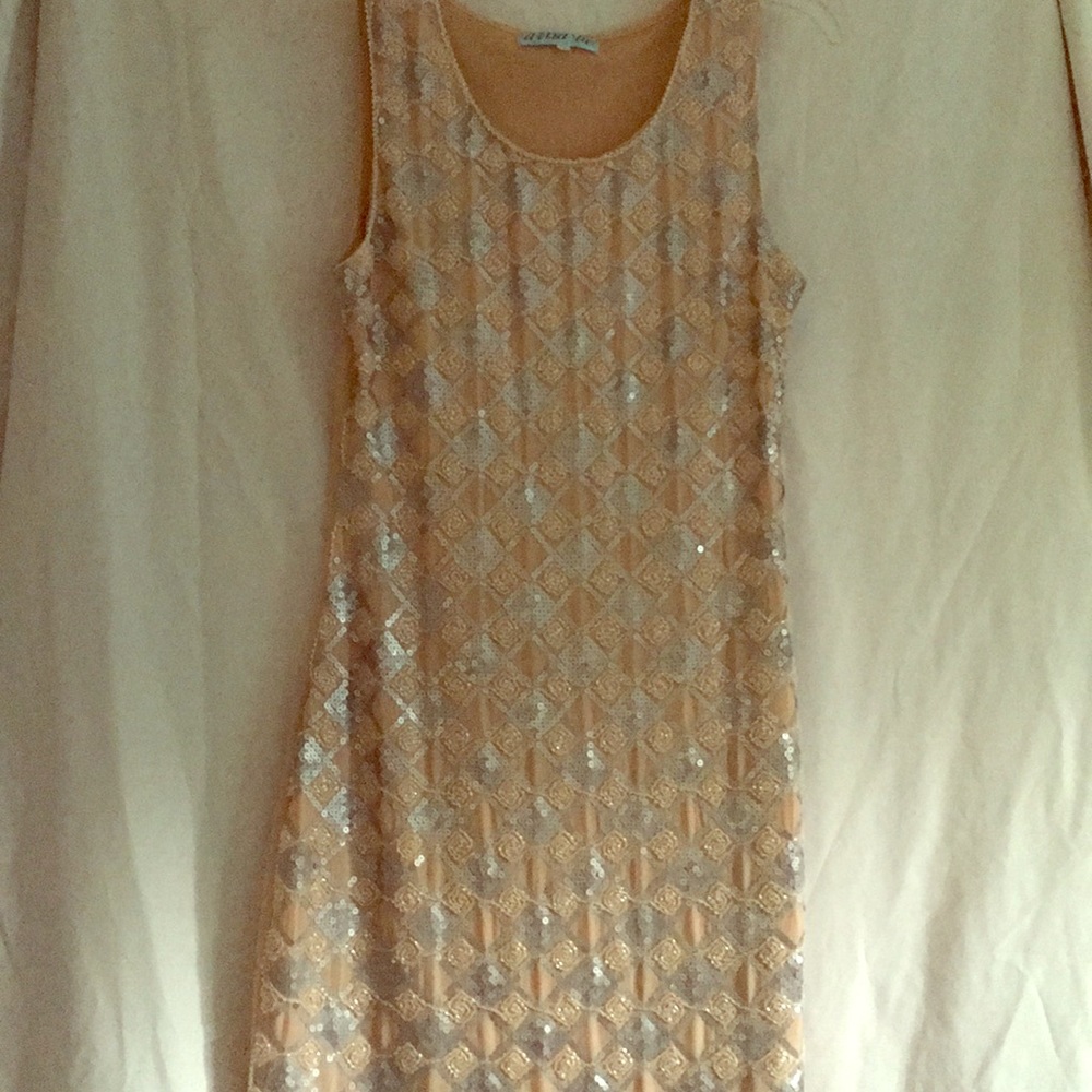 Never worn nude dress with intricate silver beads
